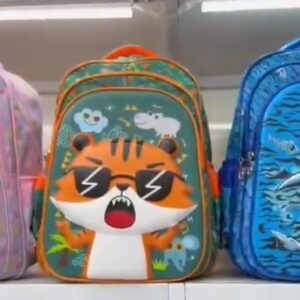 DELIGHT SCHOOL BAG 16 INCHES