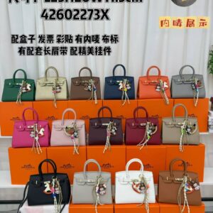 BAG 024 (FULLY BOXED WITH RECEIPT)